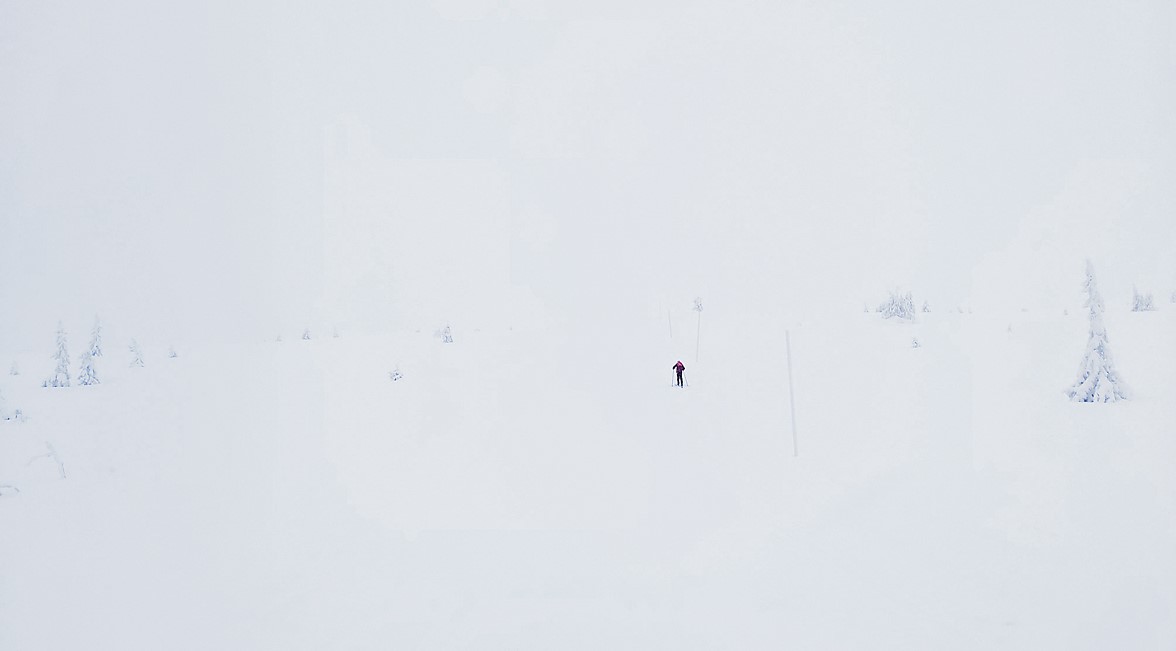 Ensomheten på Dølfjellet&nbsp;<span>(+)</span>