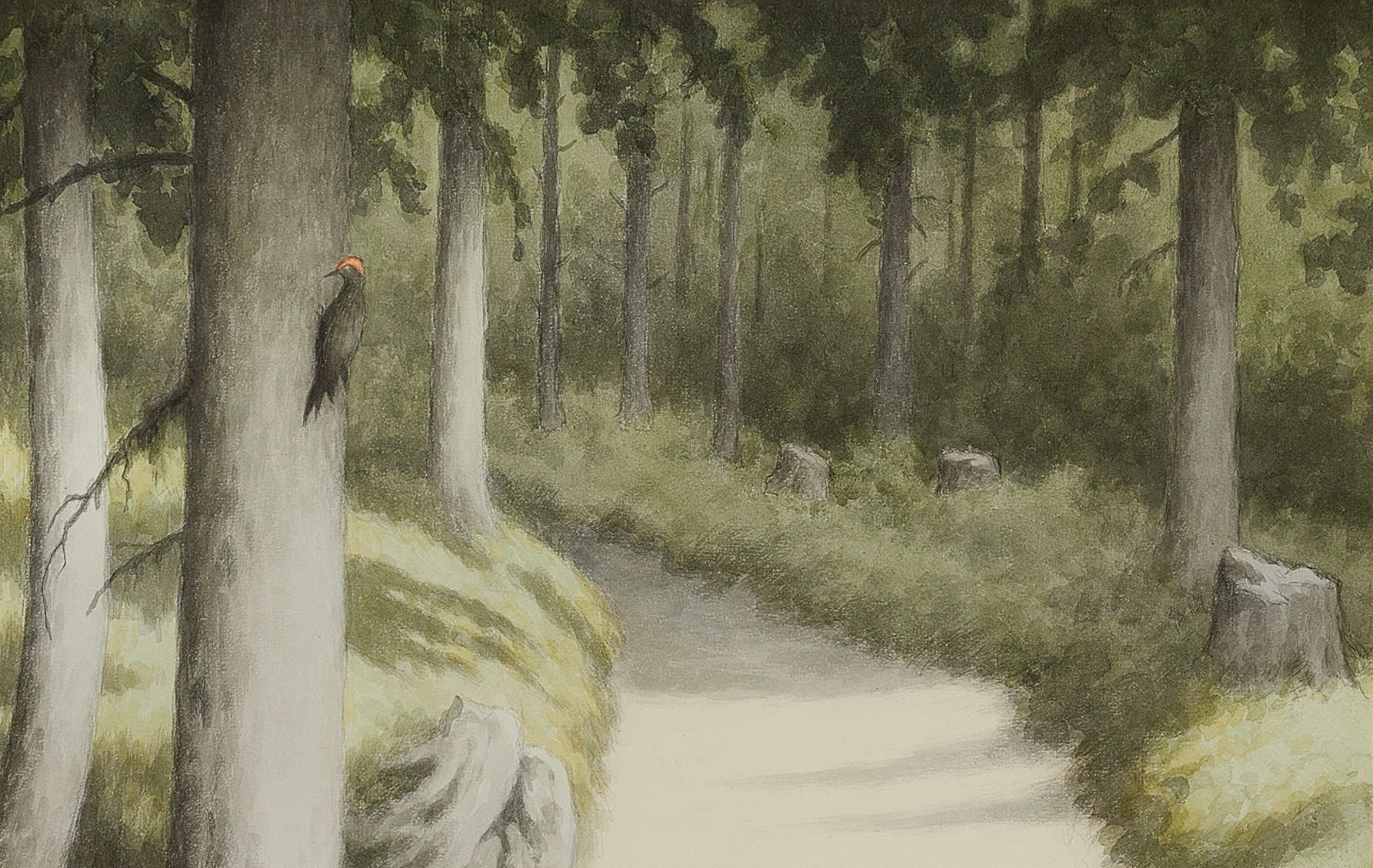 Hakkespett (1913)&nbsp;<span>(+)</span>