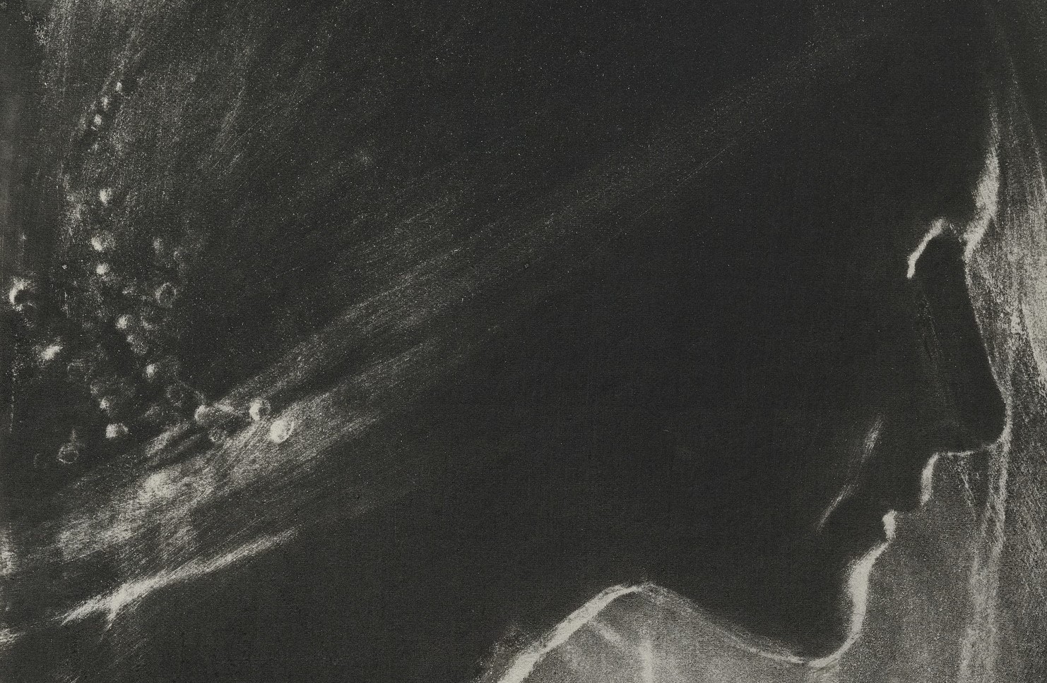 The Bride (1905)&nbsp;<span>(+)</span>