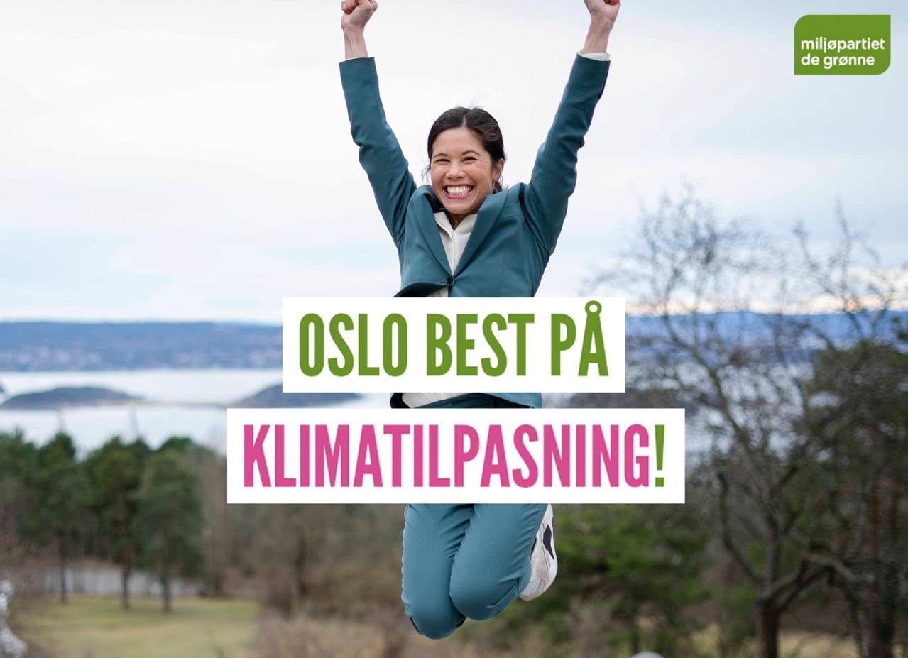 Når MDG selv omtaler Lan Bergs «innsats»: Uhemmet skryt&nbsp;<span>(+)</span>