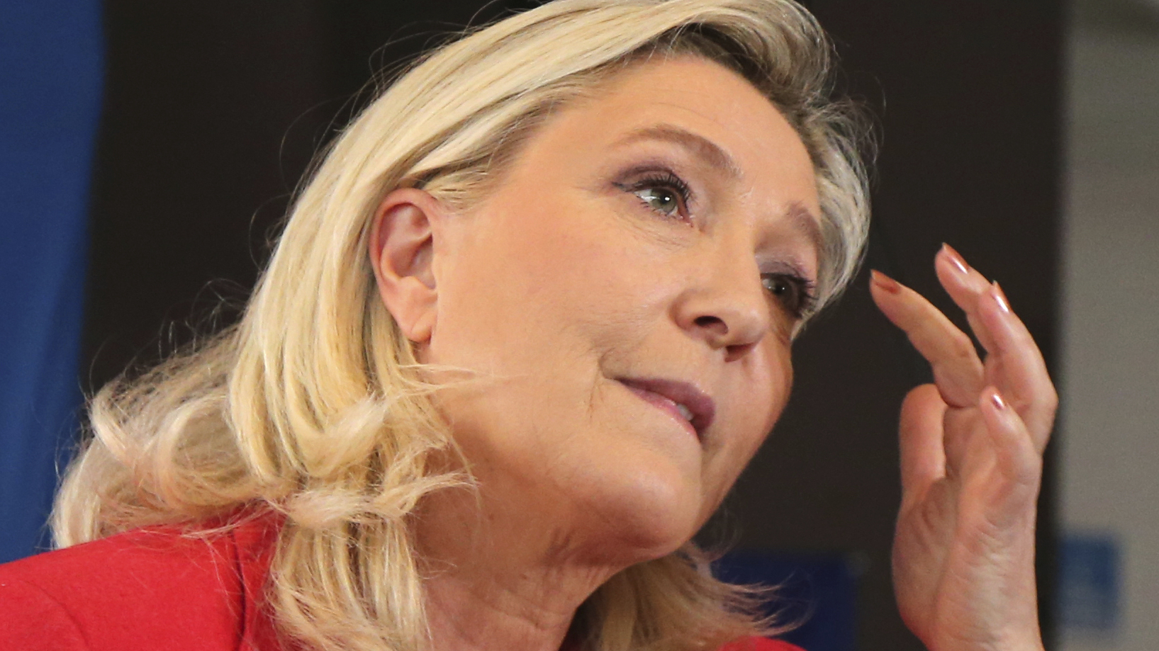 Frankrike: Nesten halvparten tror Le Pen kan vinne i 2022&nbsp;<span>(+)</span>