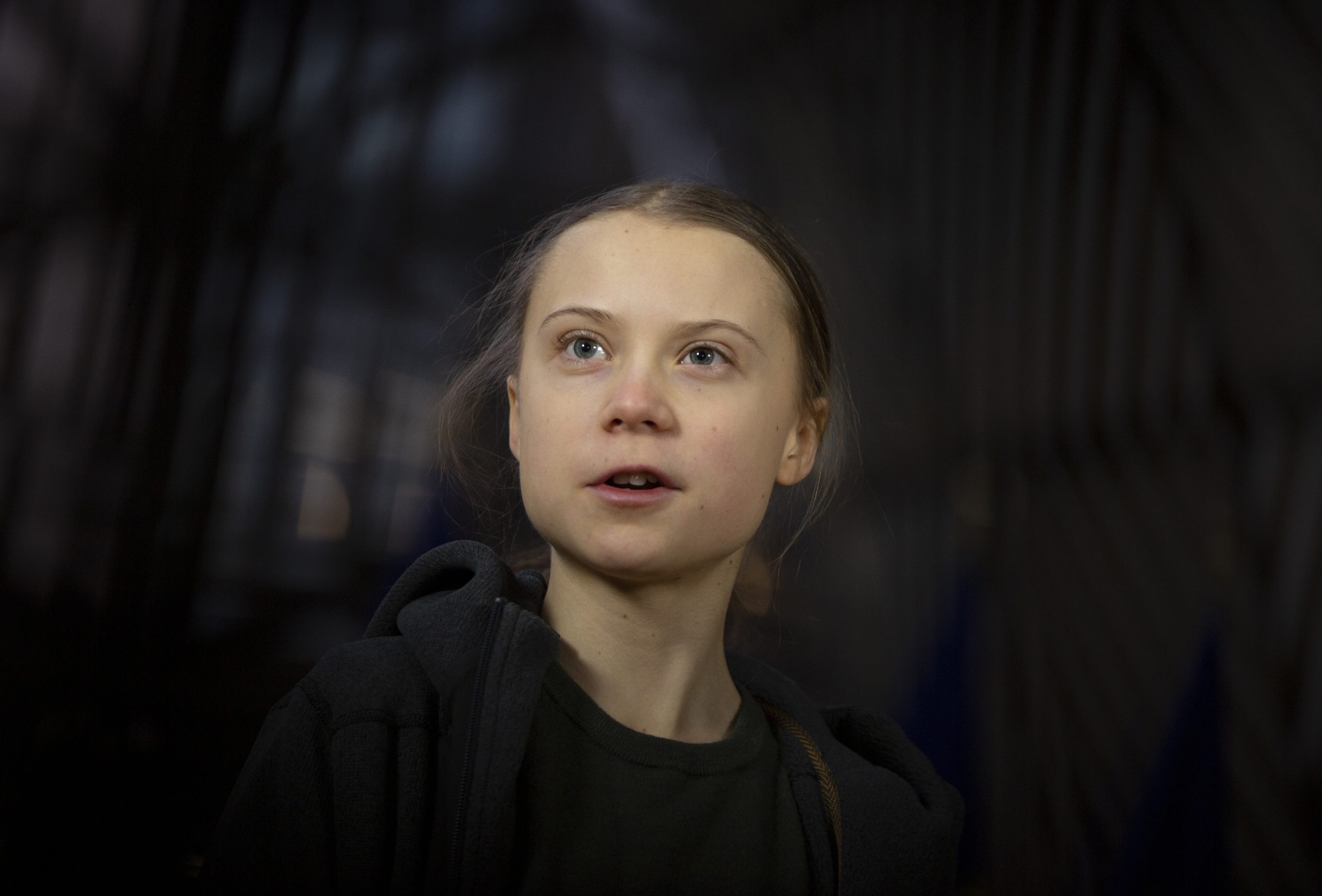 Stortinget sier nei takk til Thunberg&nbsp;<span>(+)</span>