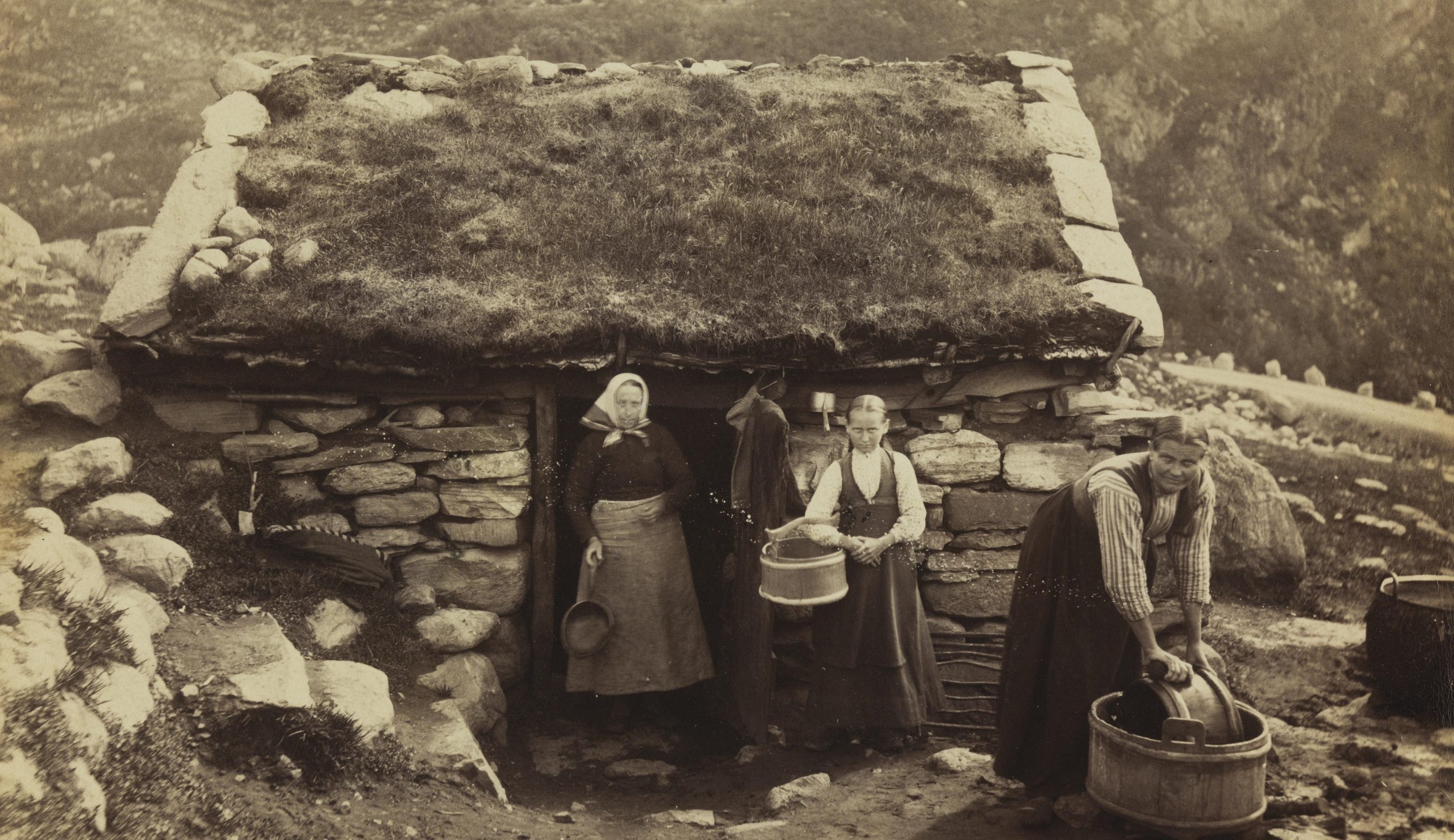 Parti af en Sæter ved Røldal (1888-94)&nbsp;<span>(+)</span>