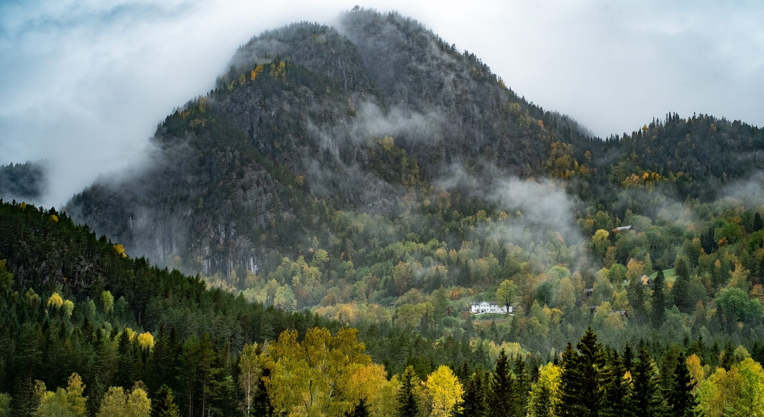 Bindingsnuten i Telemark&nbsp;<span>(+)</span>