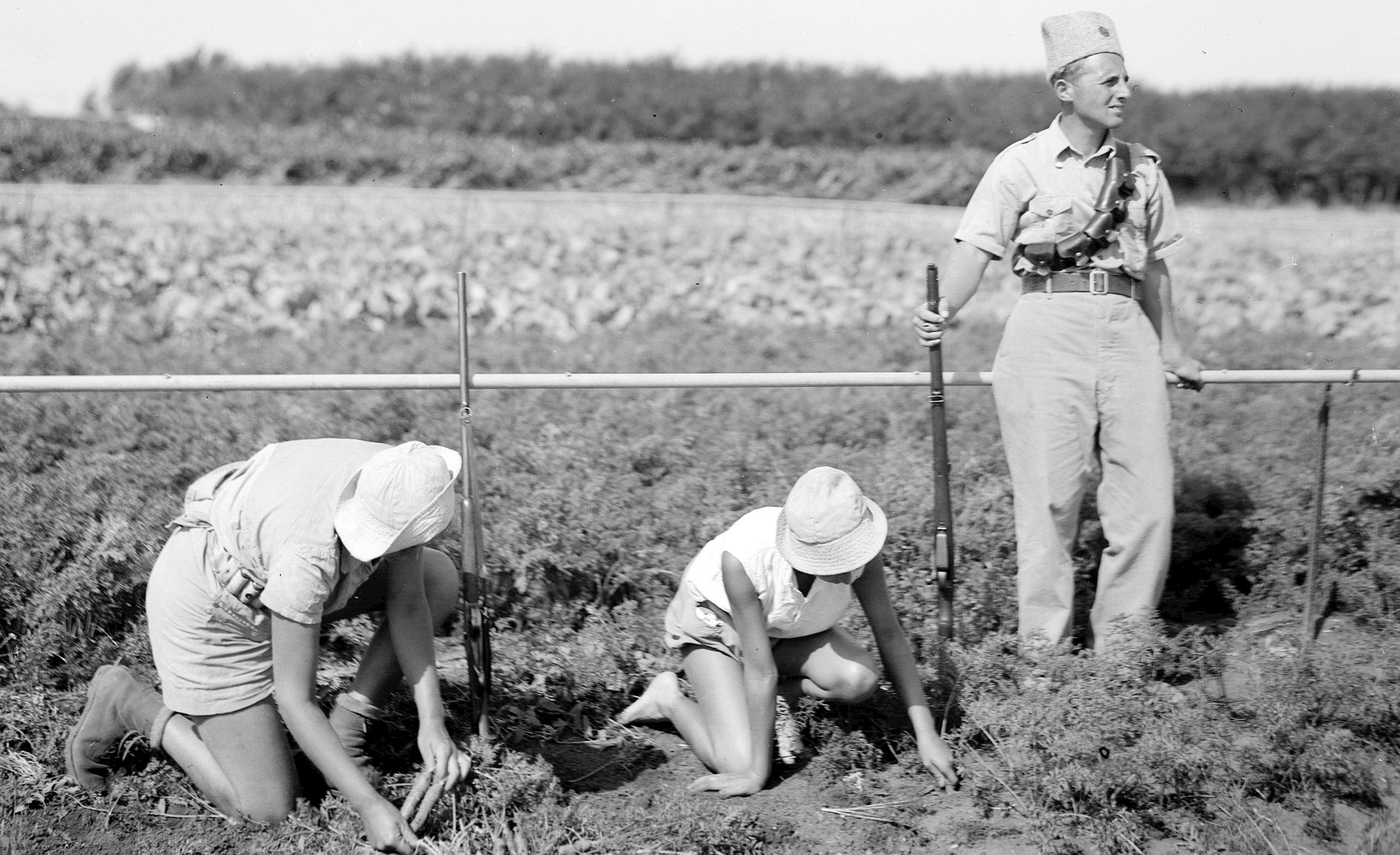 Jordbruk i Palestina (1938)&nbsp;<span>(+)</span>