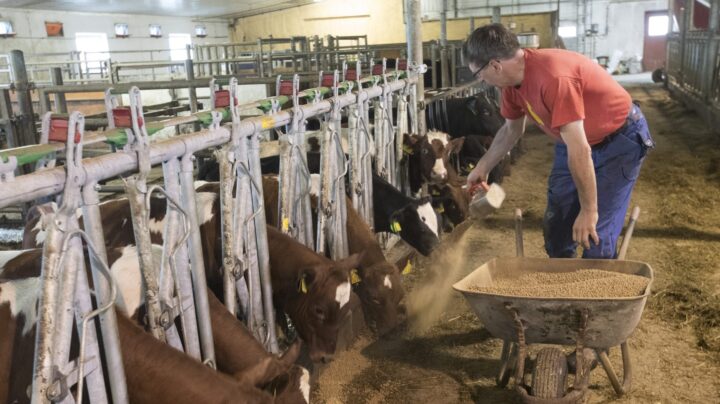 Klimaopprør blant norske bønder: – Byråkratisk tull