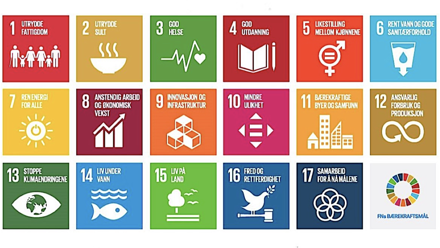 Topptung maktgruppe skal drive frem bærekraftsmålene&nbsp;<span>(+)</span>