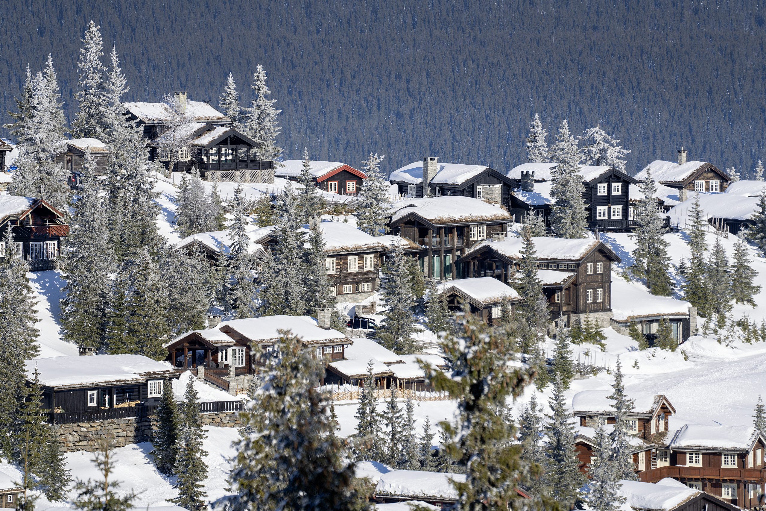 Rekordmange bygger hytte – organisasjoner mener veksten bør bremses&nbsp;<span>(+)</span>
