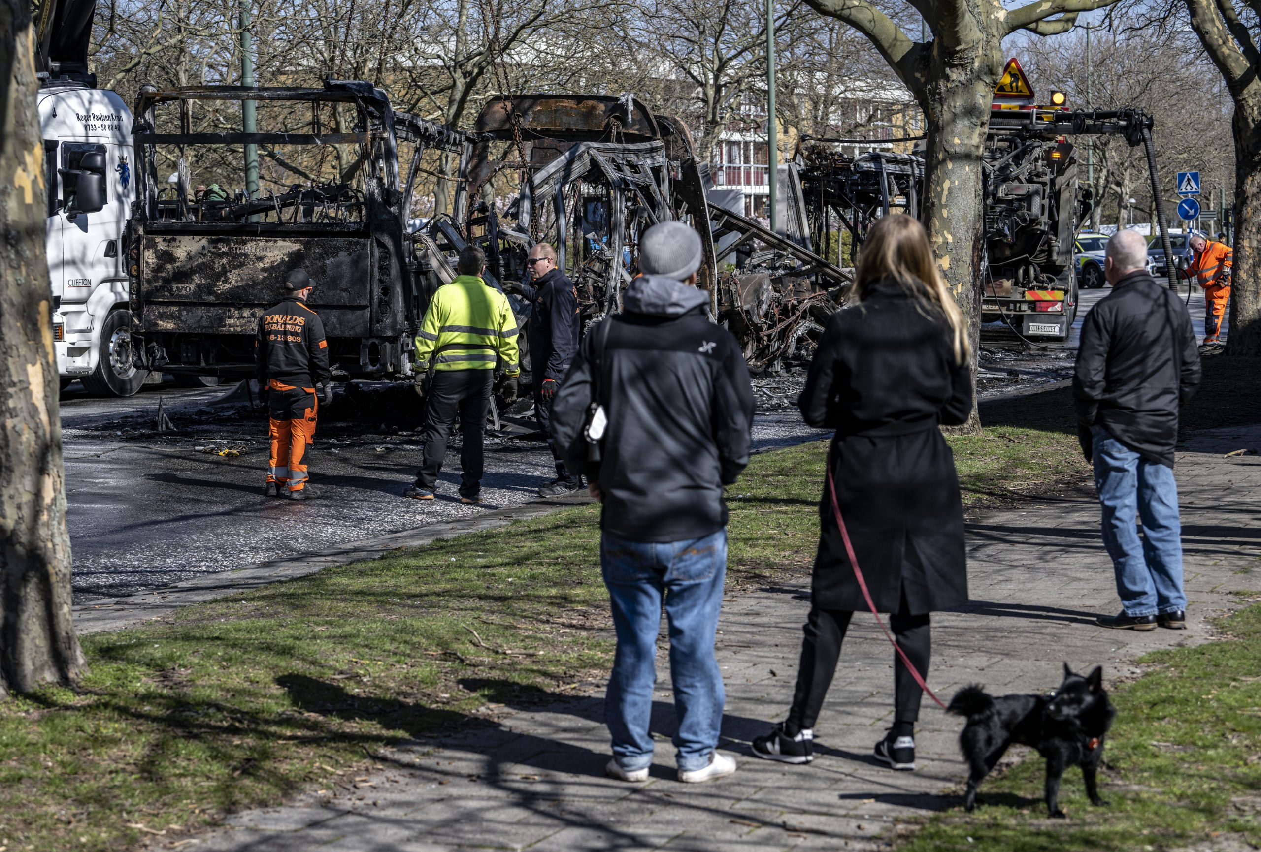 Paludans svenske dominoeffekt&nbsp;<span>(+)</span>