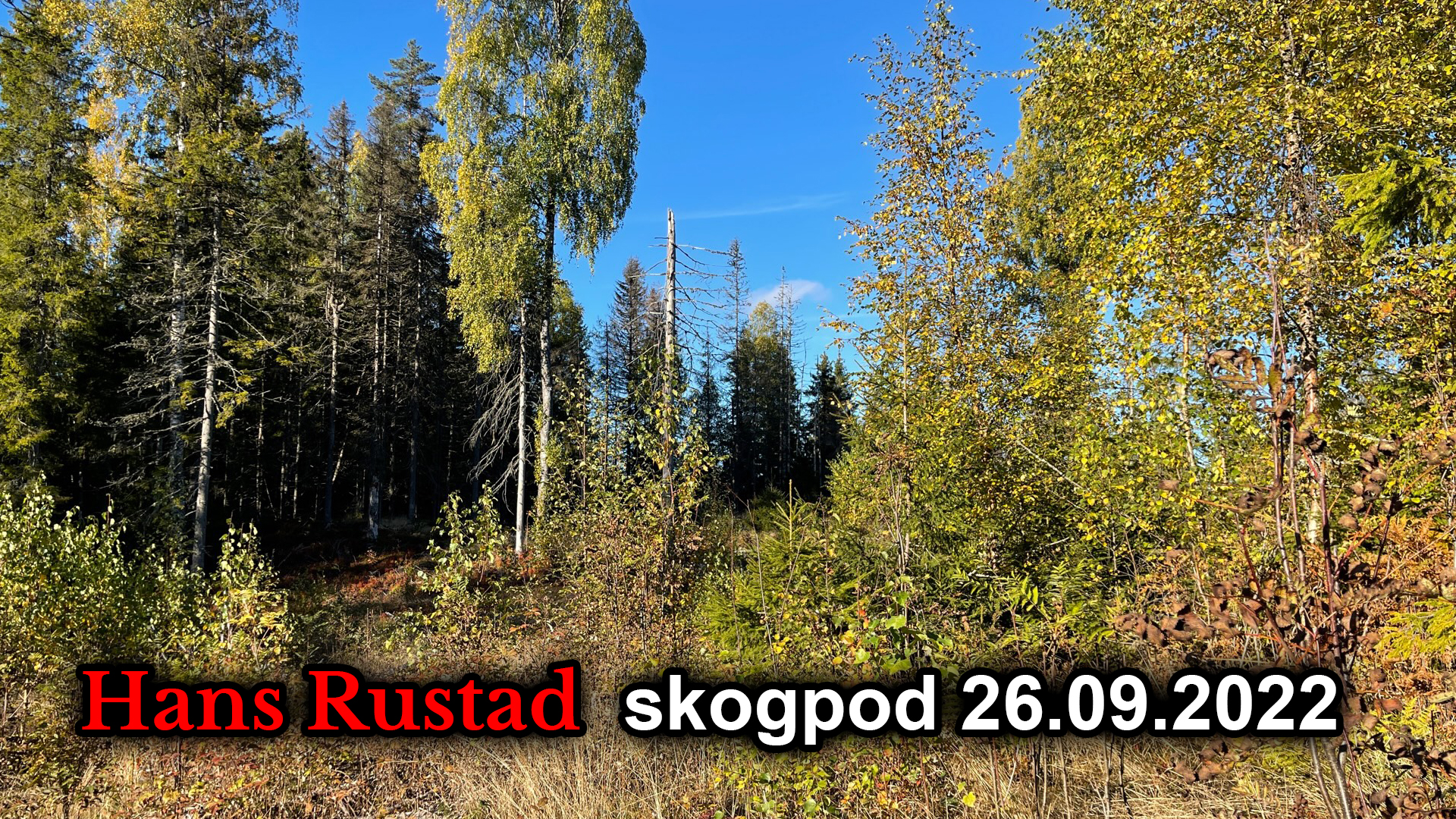 Skogpod 26. september: Kulturkrigen raser videre&nbsp;<span>(+)</span>