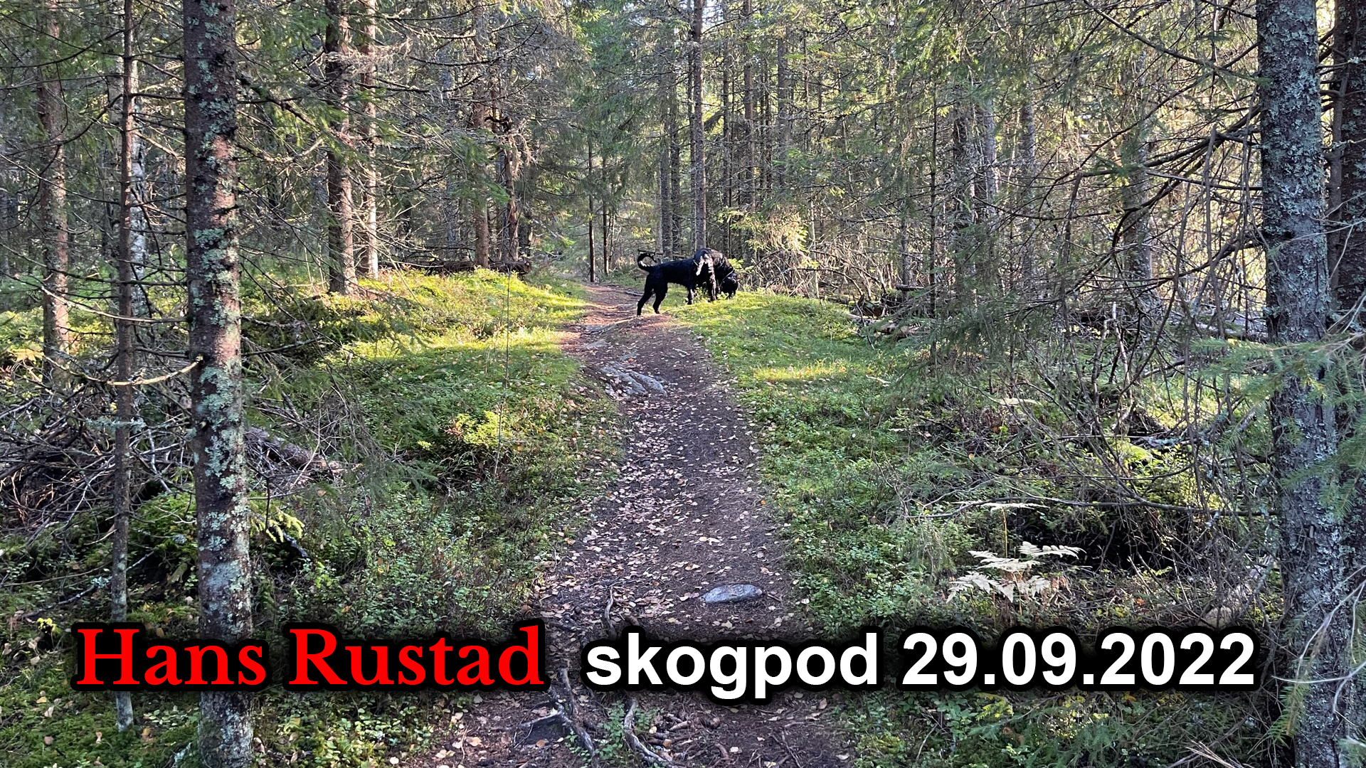 Skogpod 29. september: Destabilisering av samfunnet&nbsp;<span>(+)</span>