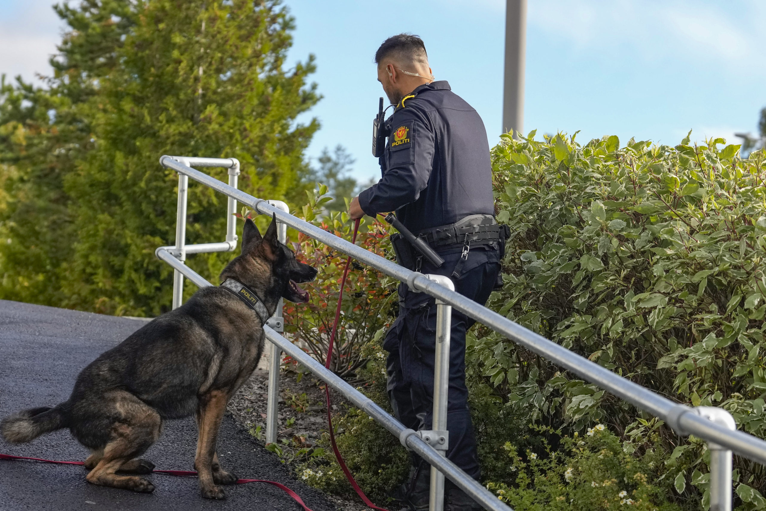 Oslo-volden: Person ranet med mulig stikkvåpen nær Grefsen&nbsp;<span>(+)</span>