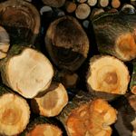 Nordmenn trosser EU: Halvparten vil fyre mer med ved enn før