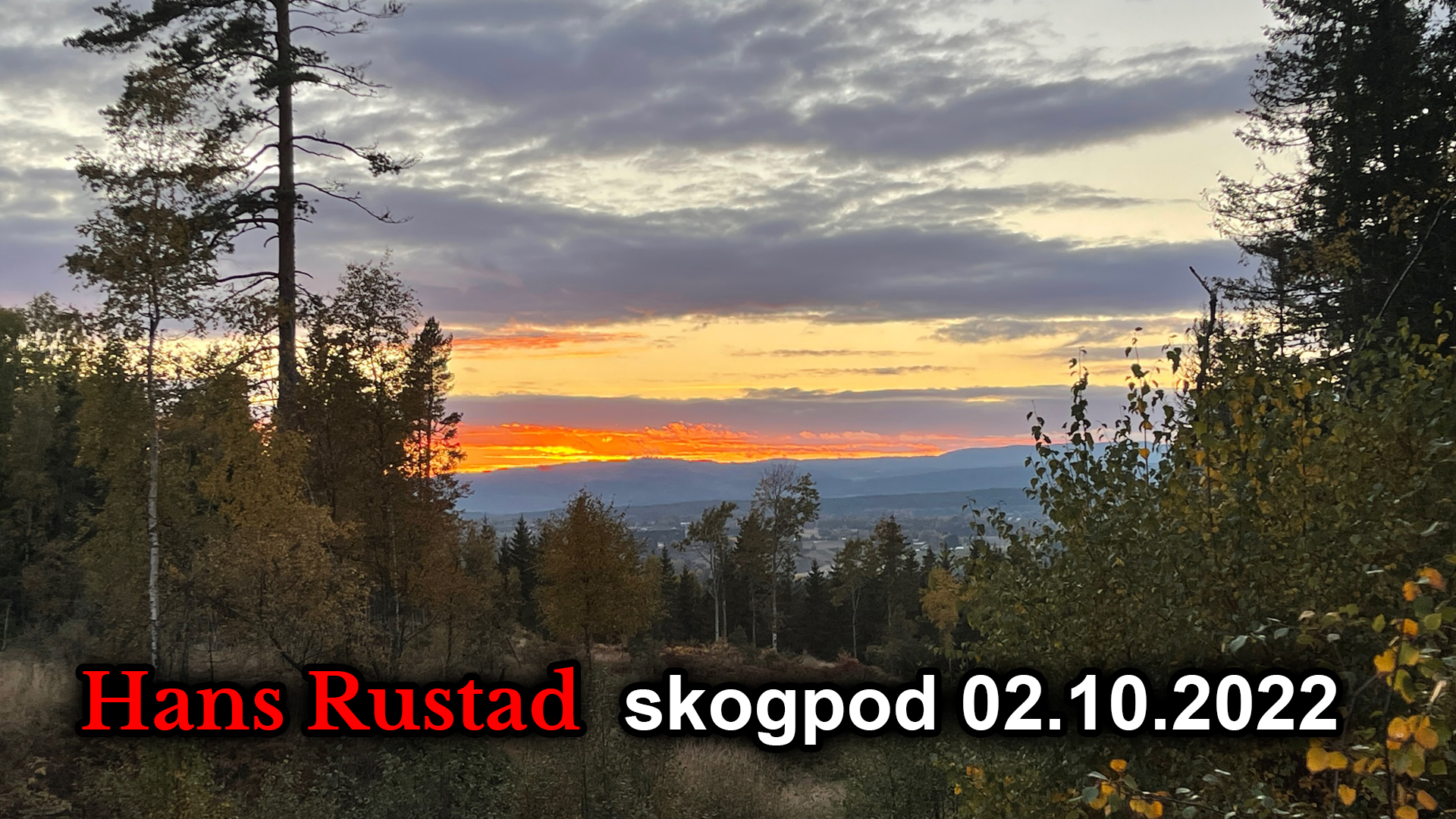Skogpod 2. oktober: En hendelse på linja&nbsp;<span>(+)</span>