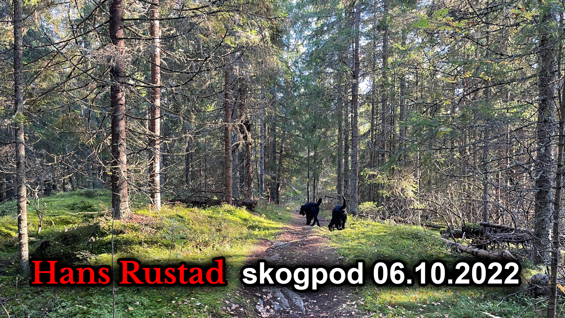 Skogpod 6. oktober: Sivilisasjons&shy;sammenbrudd&nbsp;<span>(+)</span>