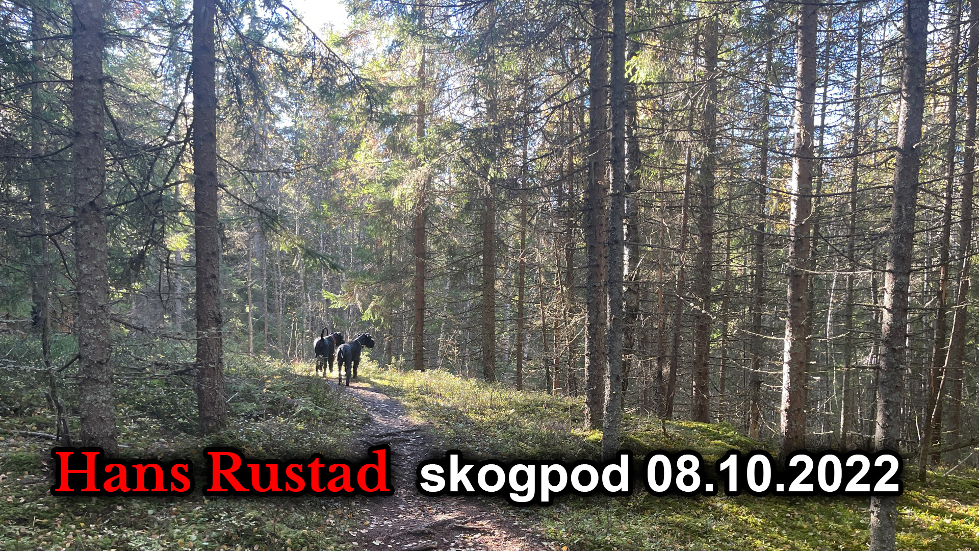 Skogpod 8. oktober: Står verden snart i flammer?&nbsp;<span>(+)</span>