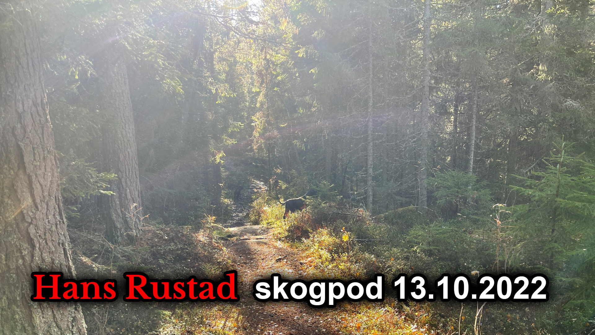 Skogpod 13. oktober: Dansk spiondrama med internasjonalt tilsnitt&nbsp;<span>(+)</span>