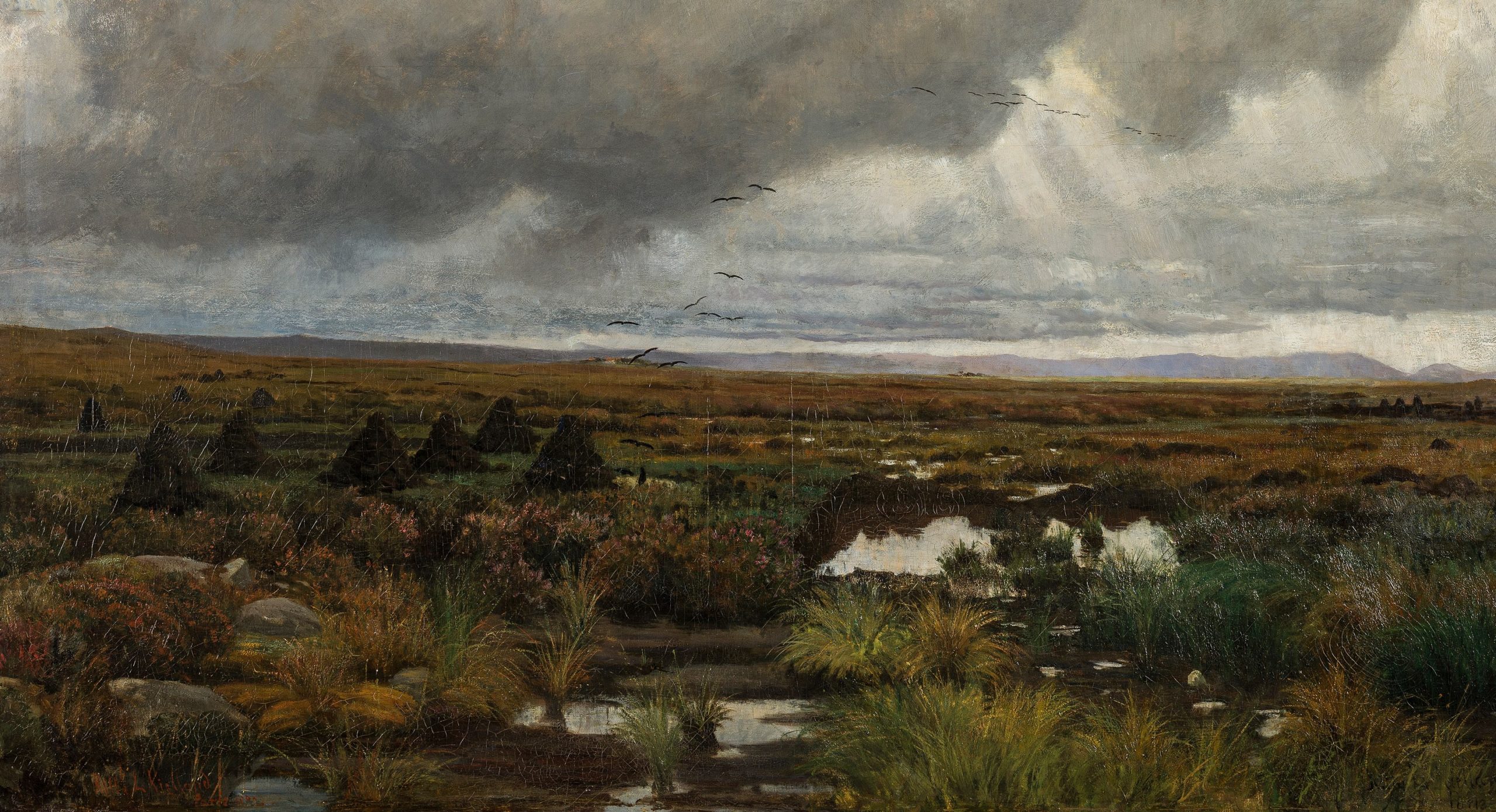 Torvmyr (1880)&nbsp;<span>(+)</span>