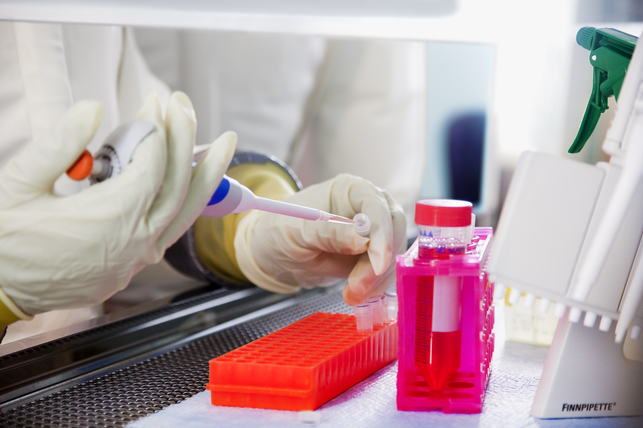 Laboratorium i Boston har laget nytt covid-virus – med 80 prosent dødelighet: «De leker med ilden»&nbsp;<span>(+)</span>