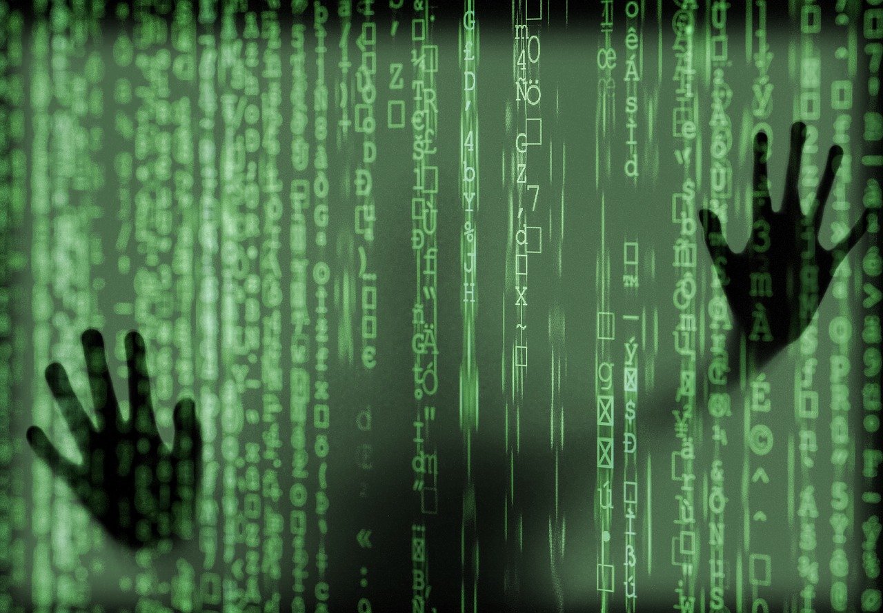 EU vil innføre digitale pass med biometriske data&nbsp;<span>(+)</span>