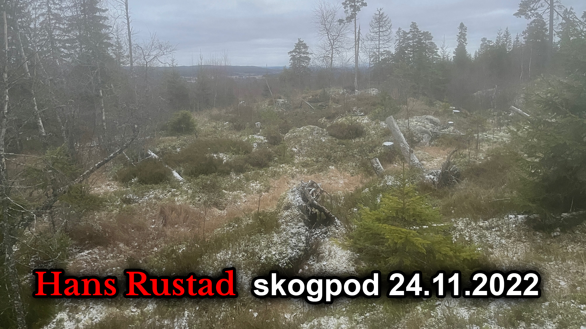 Skogpod 24. november: Kampen mot at folk skal tro sine egne sanser&nbsp;<span>(+)</span>