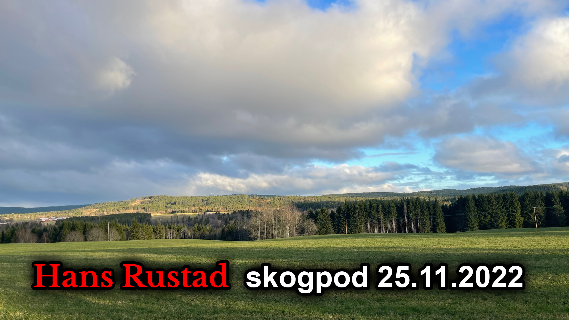 Skogpod 25. november: Terror er ikke sivil ulydighet&nbsp;<span>(+)</span>