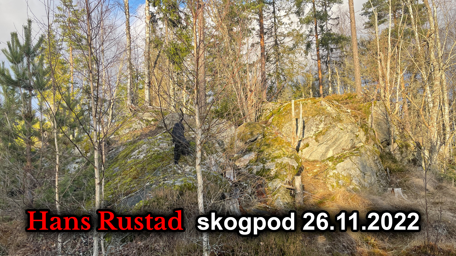 Skogpod 26. november: Bare én side har rett til å bruke vold&nbsp;<span>(+)</span>