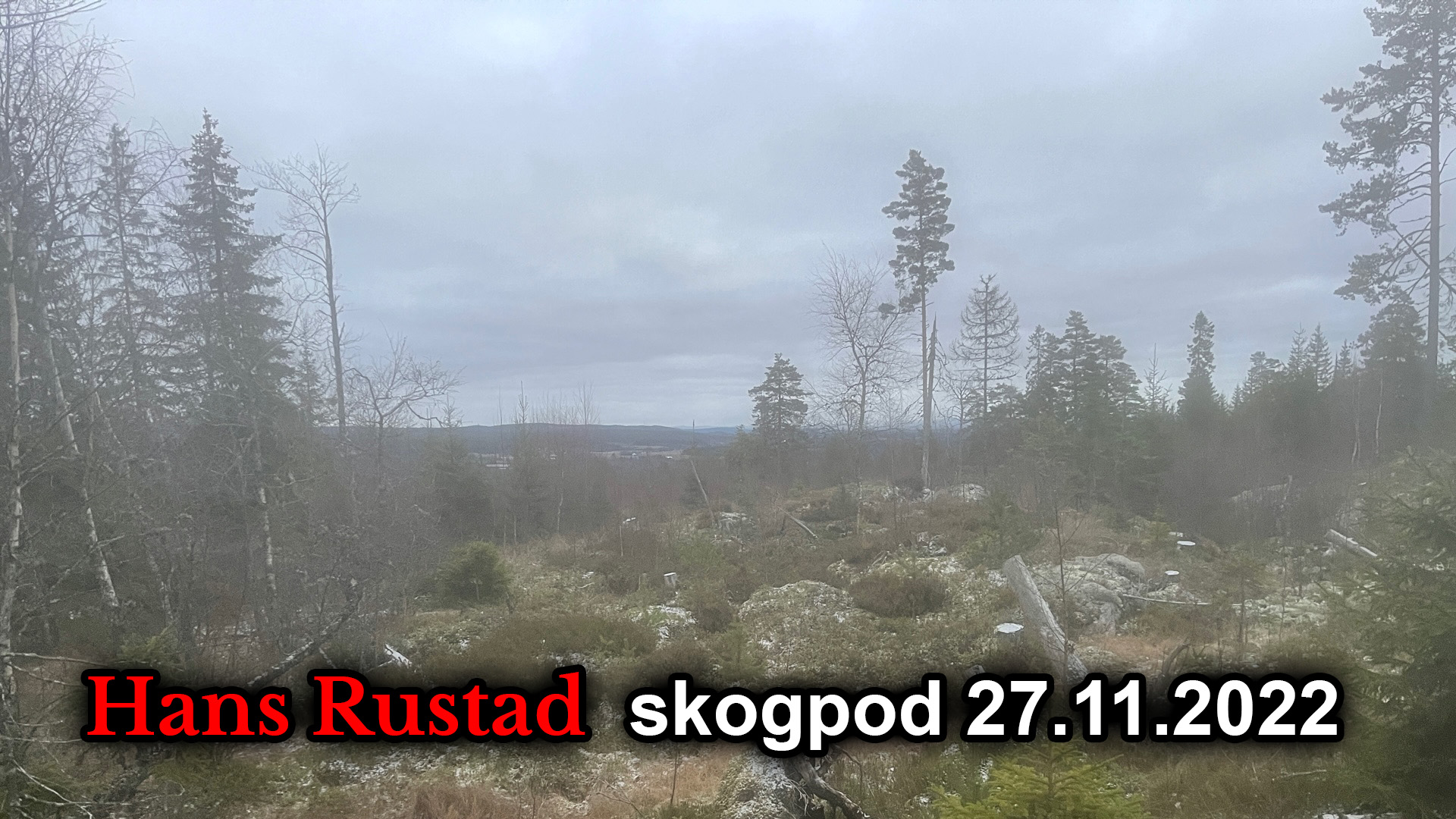 Skogpod 27. november: Respekten for det jødiske&nbsp;<span>(+)</span>