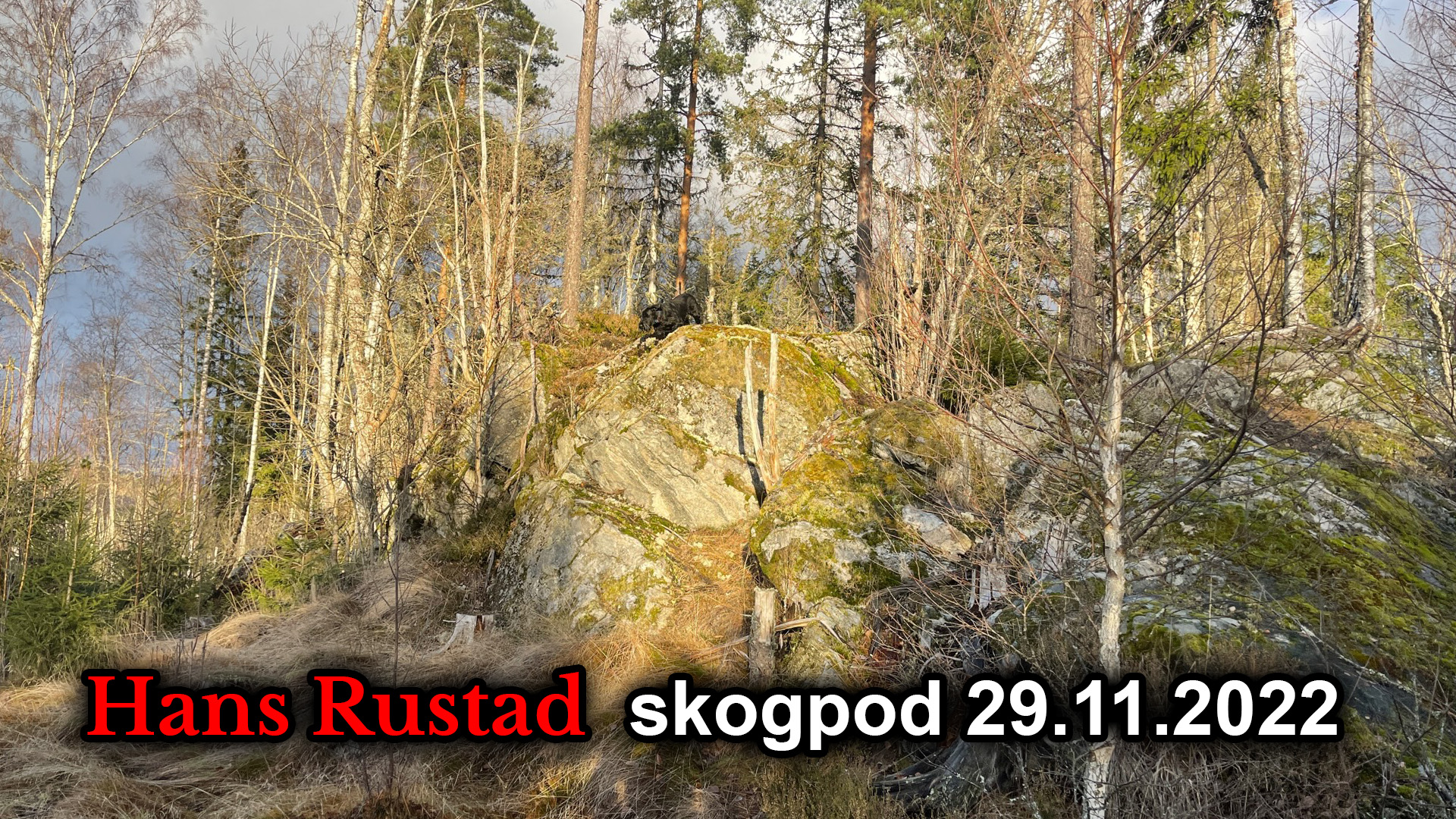 Skogpod 29. november: USA mener ikke noe om kinesiske protester&nbsp;<span>(+)</span>