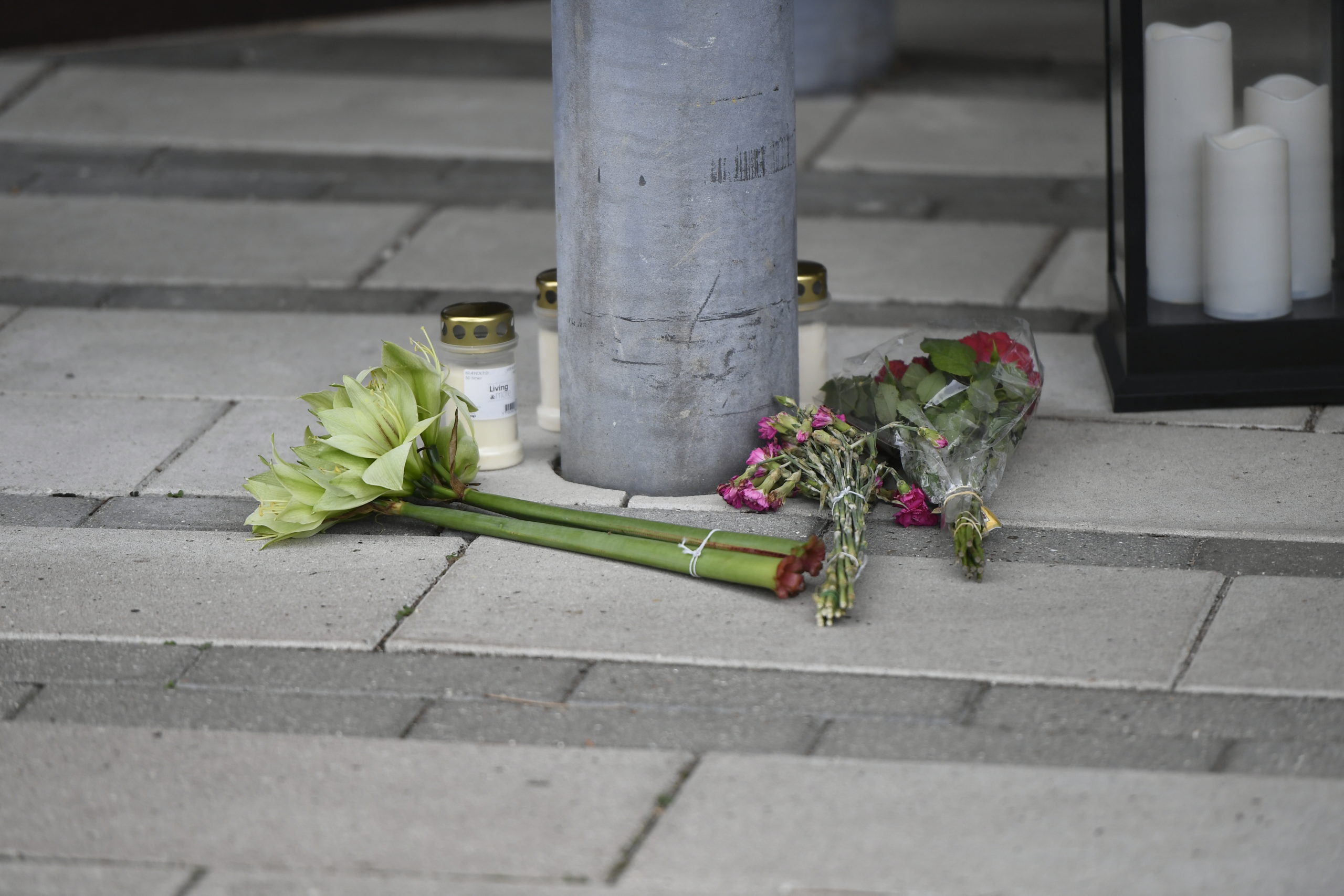 Samme mørklegging i Holbæk som i Vesterålen, sannheten må ikke frem&nbsp;<span>(+)</span>