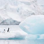 Smelter ikke med det første: Rekordkulde på Sydpolen i november