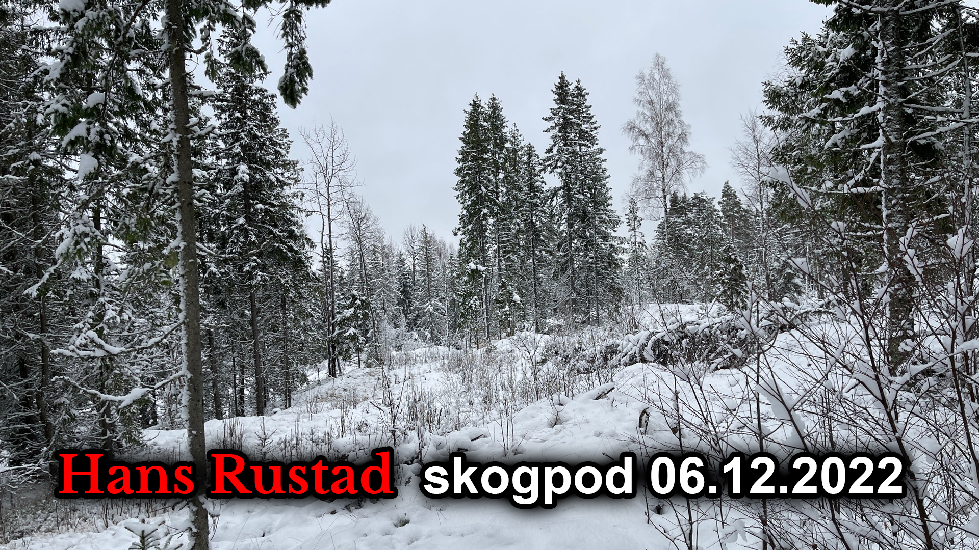 Skogpod 6. desember: Document i siget&nbsp;<span>(+)</span>