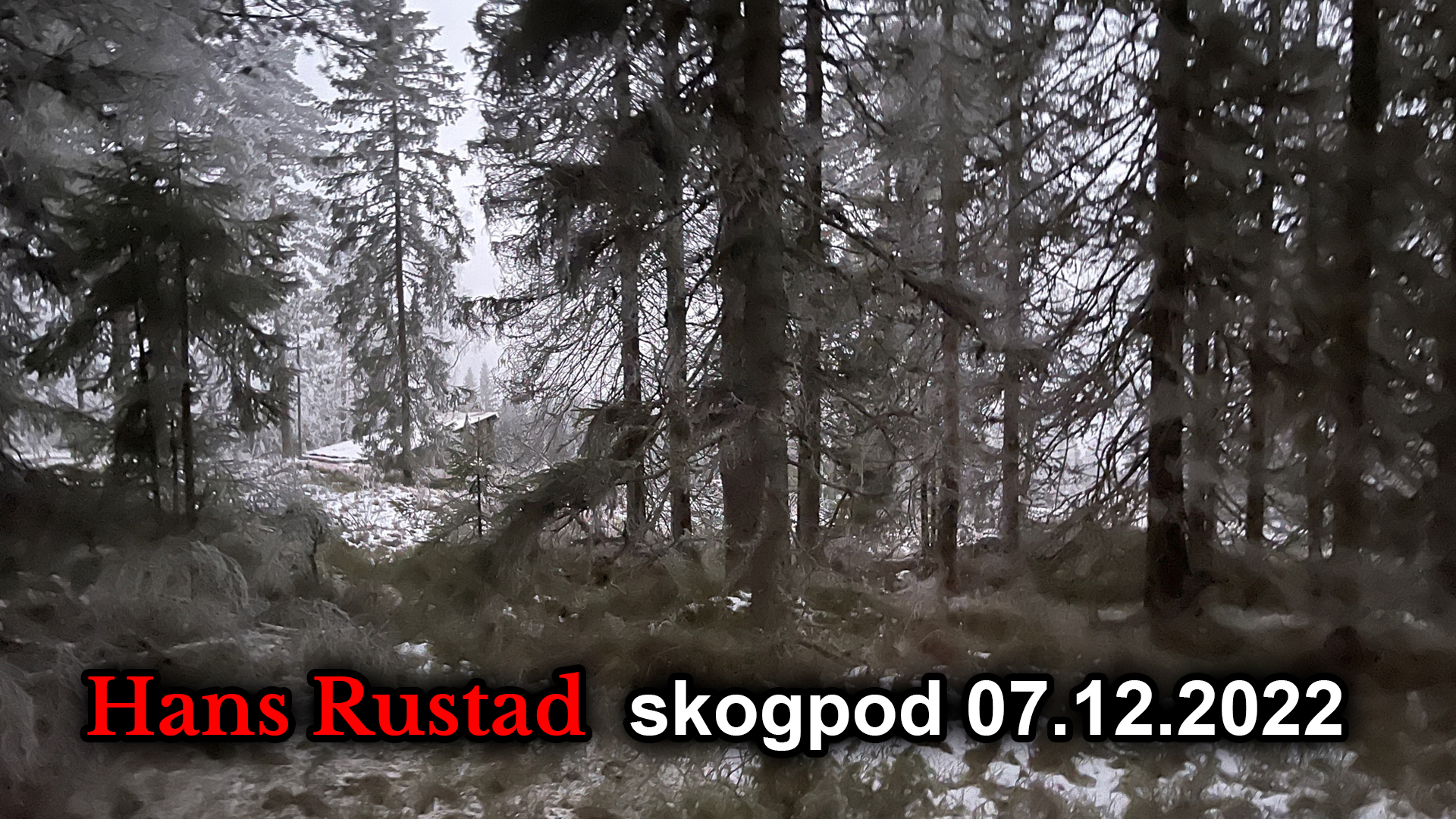 Skogpod 7. desember: Historien er en streng læremester&nbsp;<span>(+)</span>