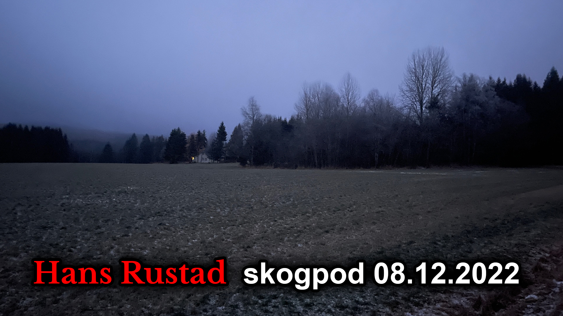 Skogpod 8. desember: Hjem&nbsp;<span>(+)</span>