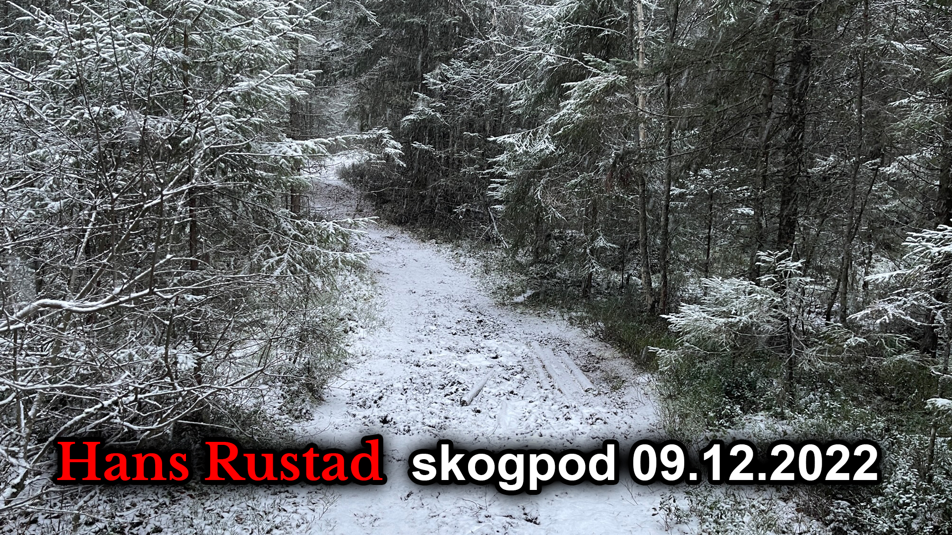 Skogpod 9. desember: Antiseptisk krig&nbsp;<span>(+)</span>