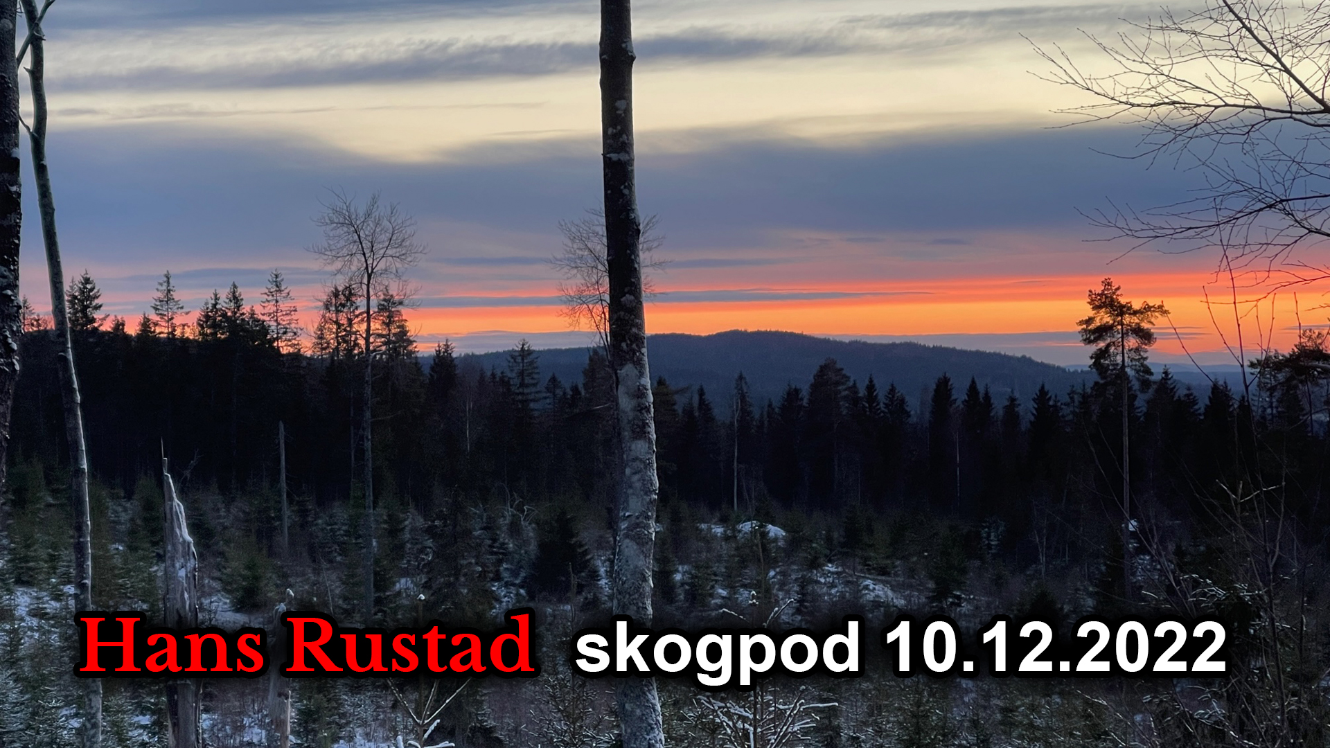 Skogpod 10. desember: Eliten har gitt seg selv immunitet&nbsp;<span>(+)</span>