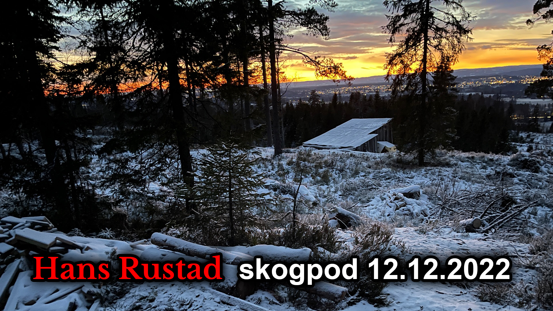 Skogpod 12. desember: Det er ikke lenger plass til Ham i herberget&nbsp;<span>(+)</span>