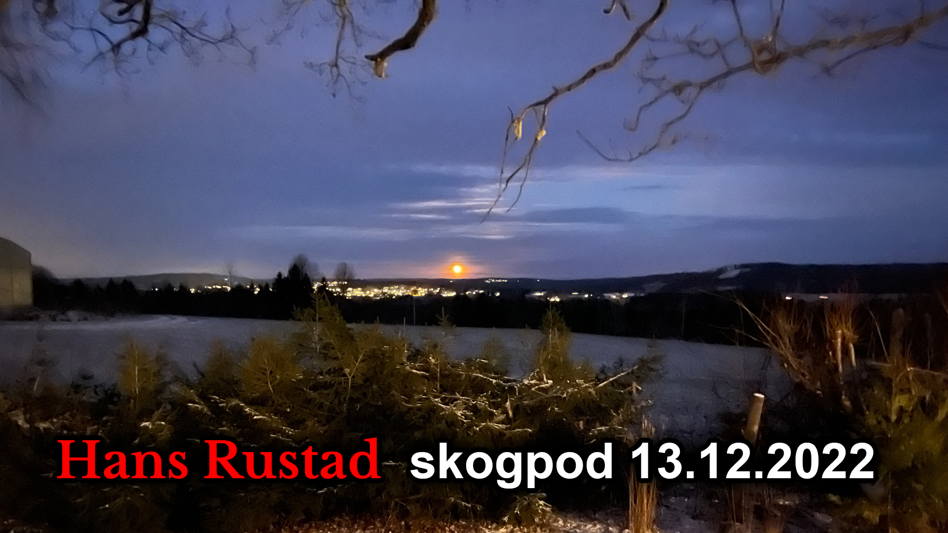 Skogpod 13. desember: Galopperende forskjeller i "fellesskapet"&nbsp;<span>(+)</span>