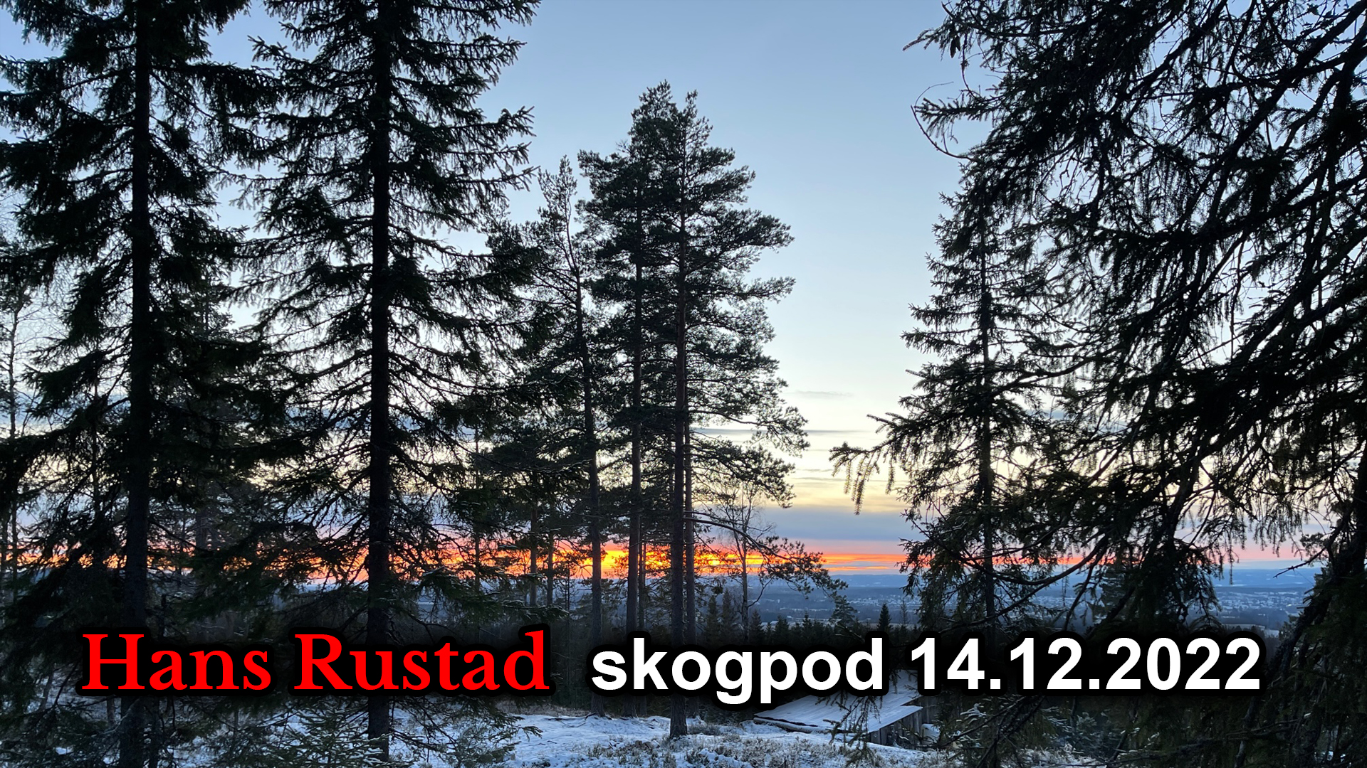 Skogpod 14. desember: Husets sønner&nbsp;<span>(+)</span>