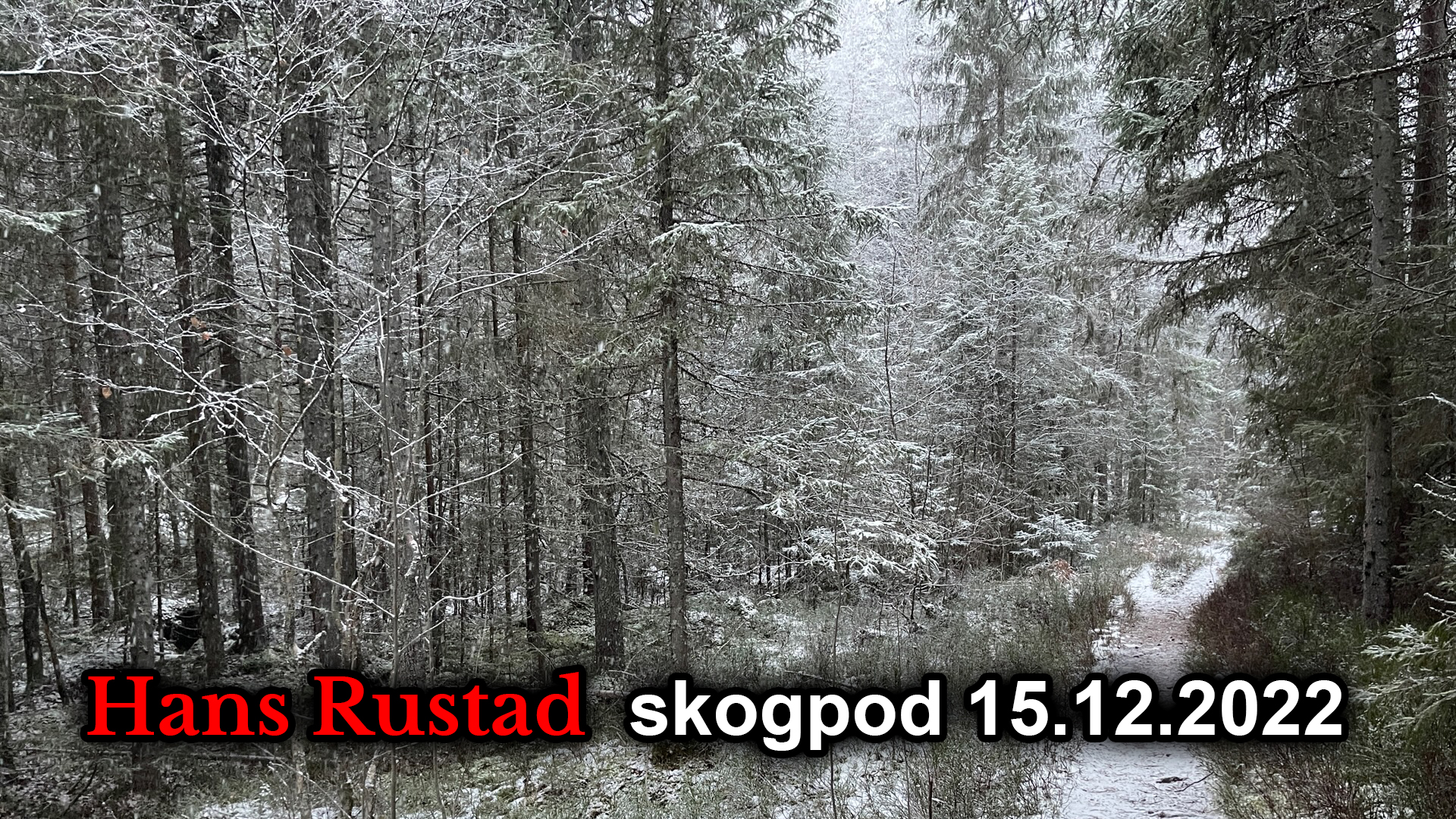 Skogpod 15. desember: Vi er blitt lurt før. Når er det nok?&nbsp;<span>(+)</span>