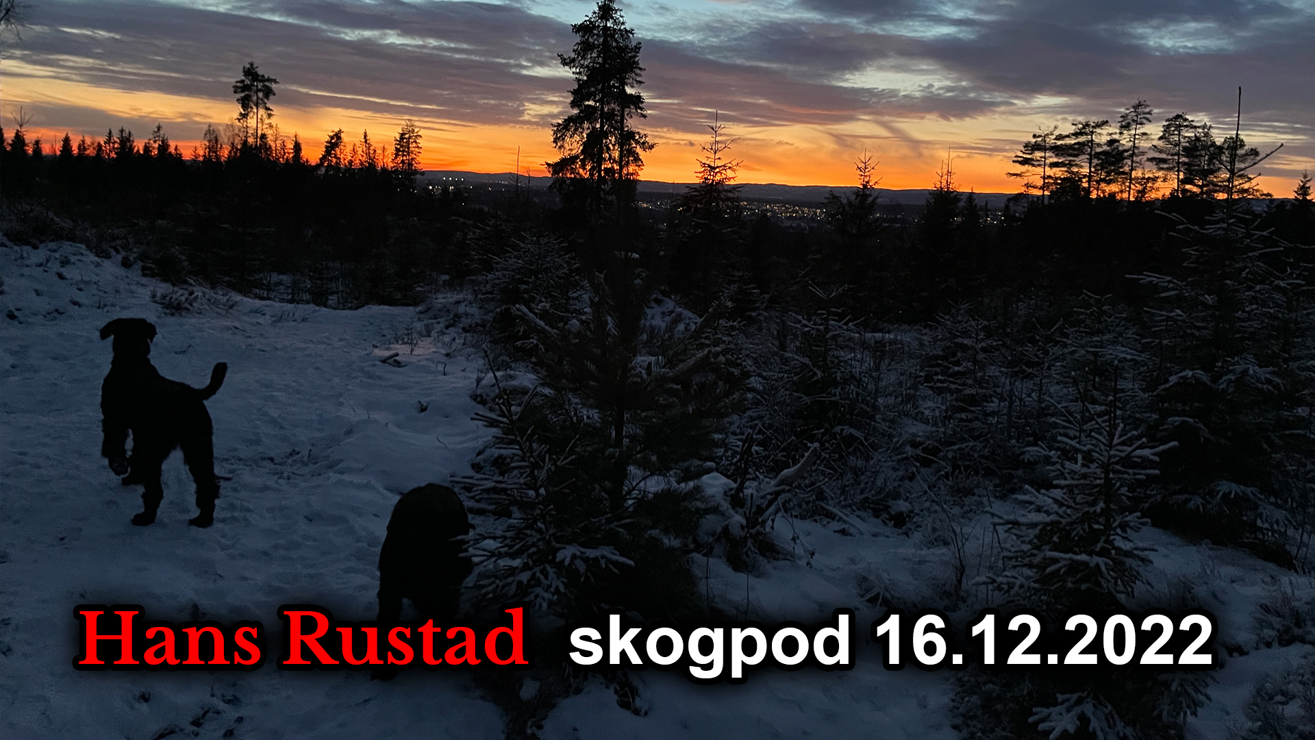 Skogpod 16. desember: Brutte løfter&nbsp;<span>(+)</span>