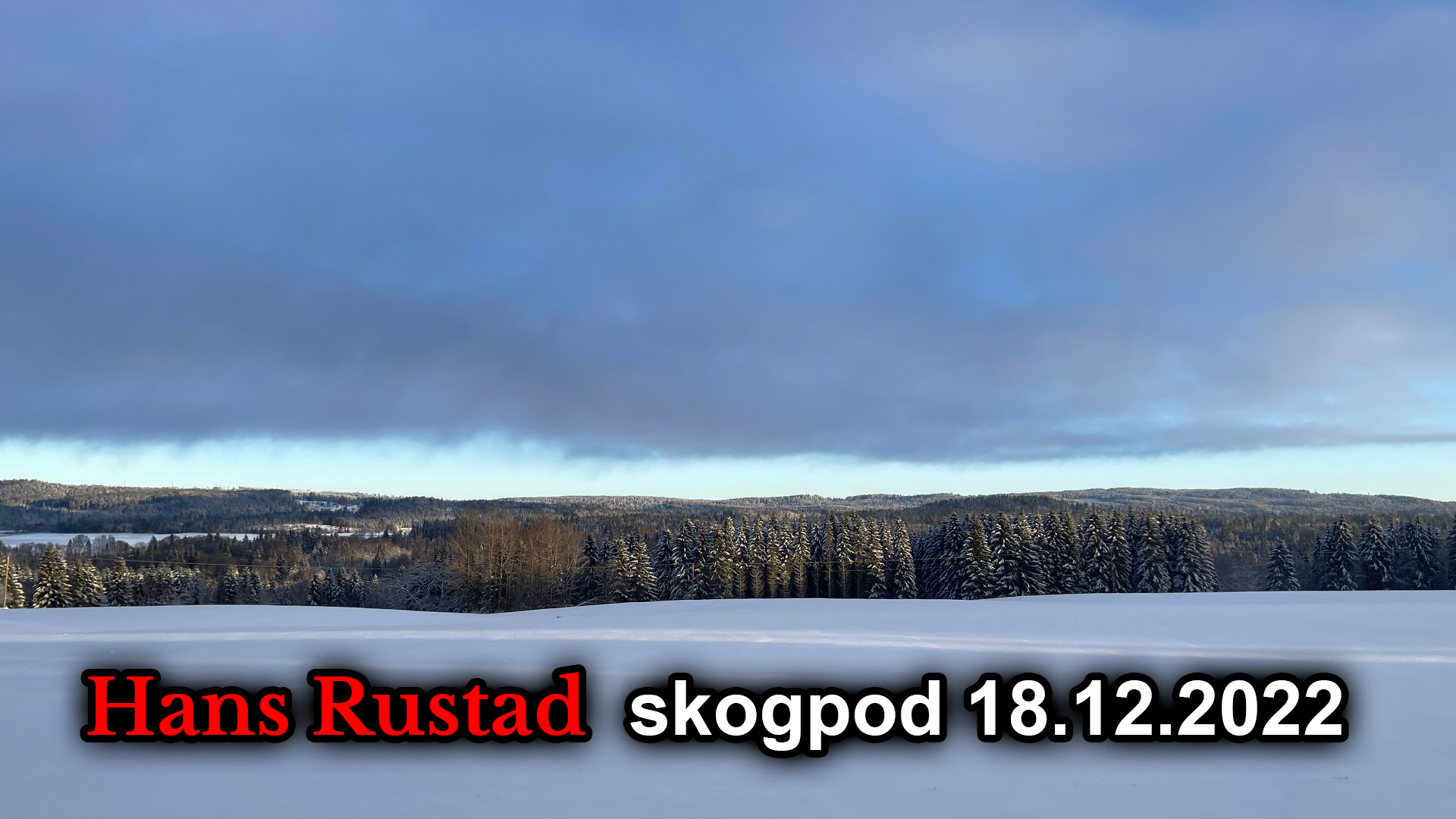 Skogpod 18. desember: Historien må skrives om&nbsp;<span>(+)</span>