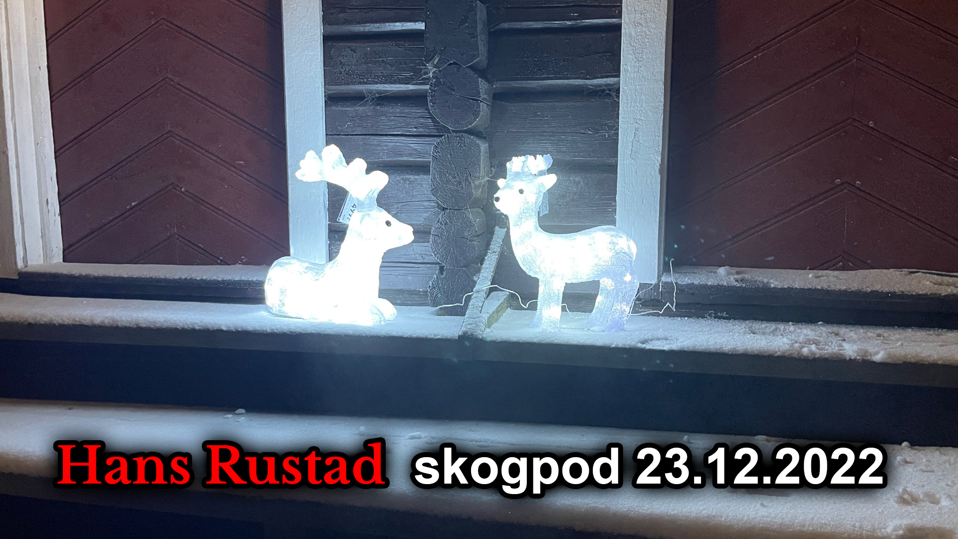 Skogpod 23. desember: Vi er ikke like for loven&nbsp;<span>(+)</span>