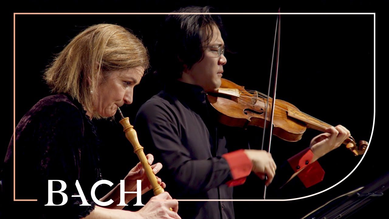 Interlude: Bach - konsert for obo og fiolin BWV 1060&nbsp;<span>(+)</span>