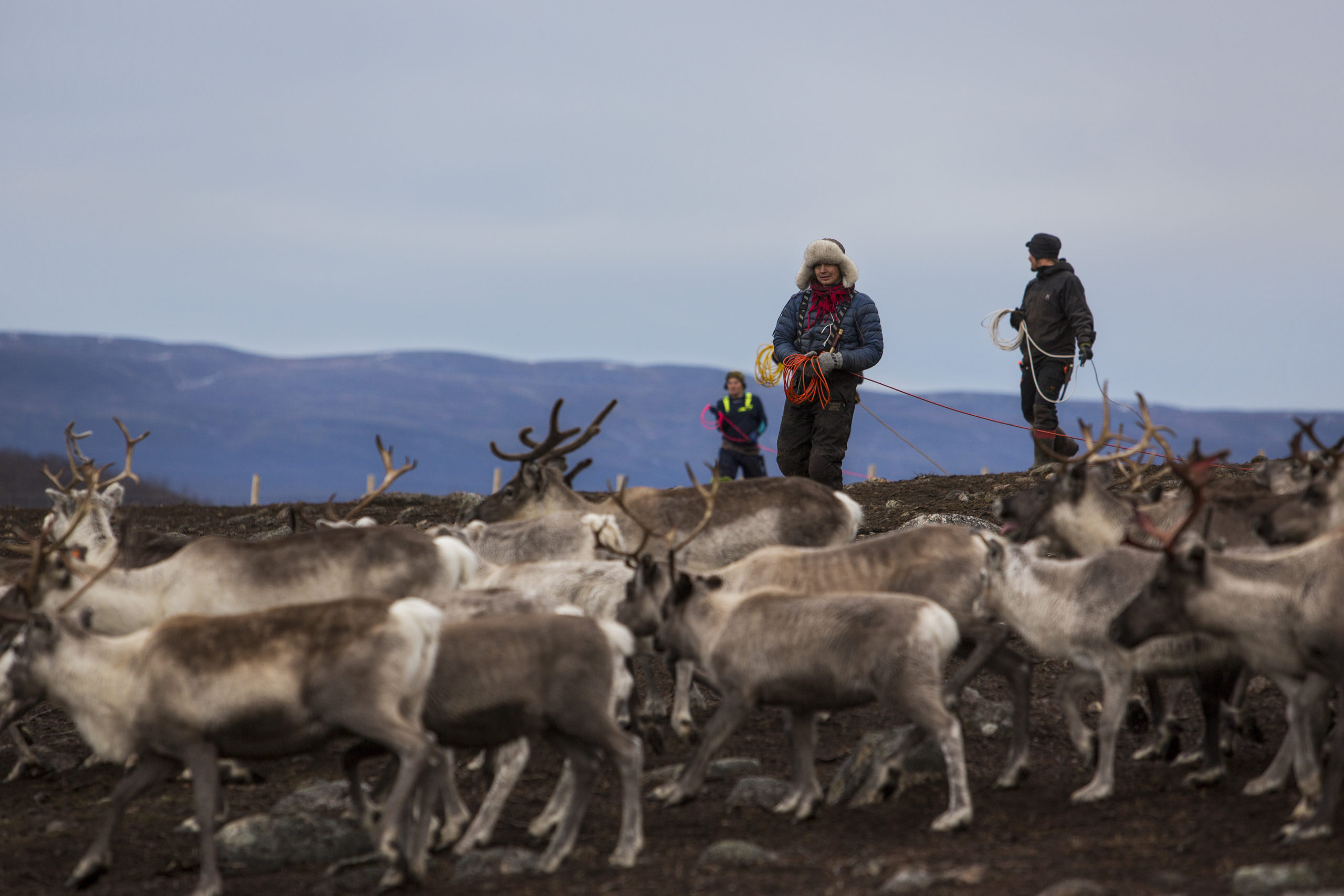 Sametinget sier nei til vindkraft på land – advarer regjeringen&nbsp;<span>(+)</span>