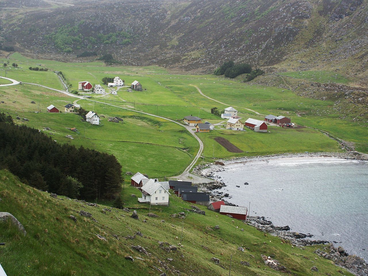 Allmuen og allmenningen&nbsp;<span>(+)</span>