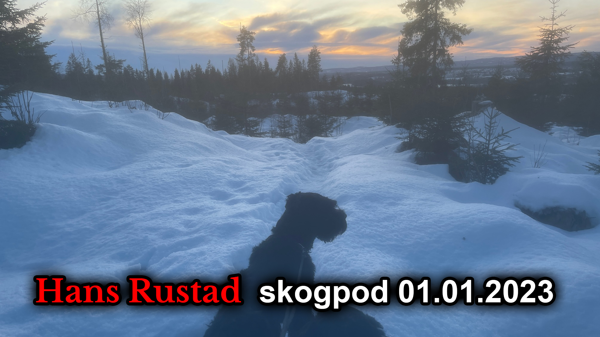 Skogpod 1. januar: Maktens sirkler&nbsp;<span>(+)</span>