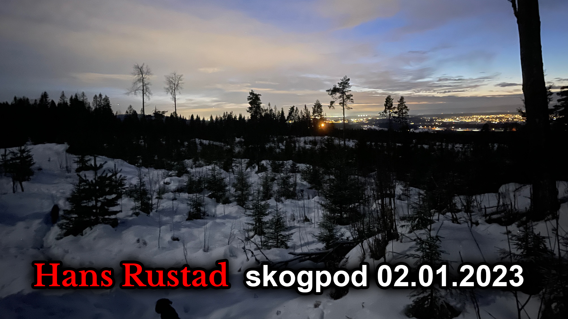 Skogpod 2. januar: La aldri en krise gå til spille&nbsp;<span>(+)</span>