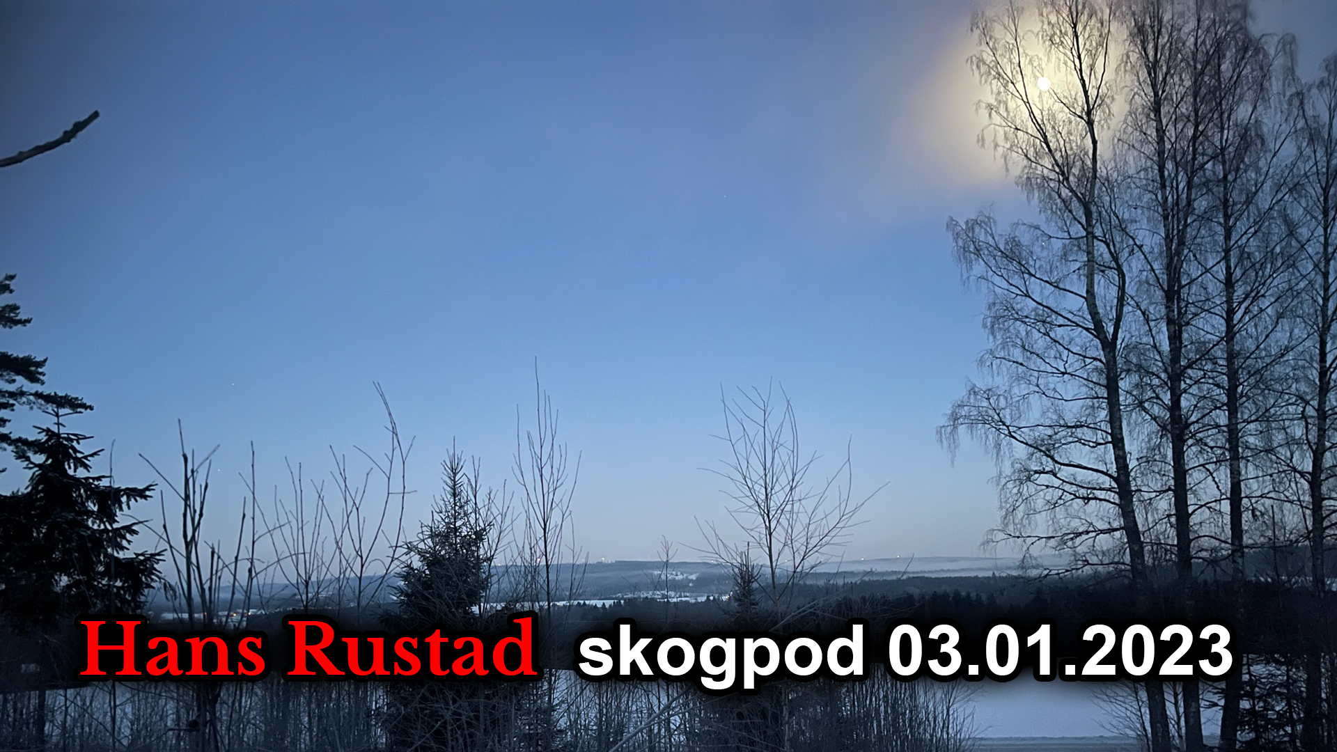 Skogpod 3. januar: Når alle er blitt pasifister, kommer krigen&nbsp;<span>(+)</span>