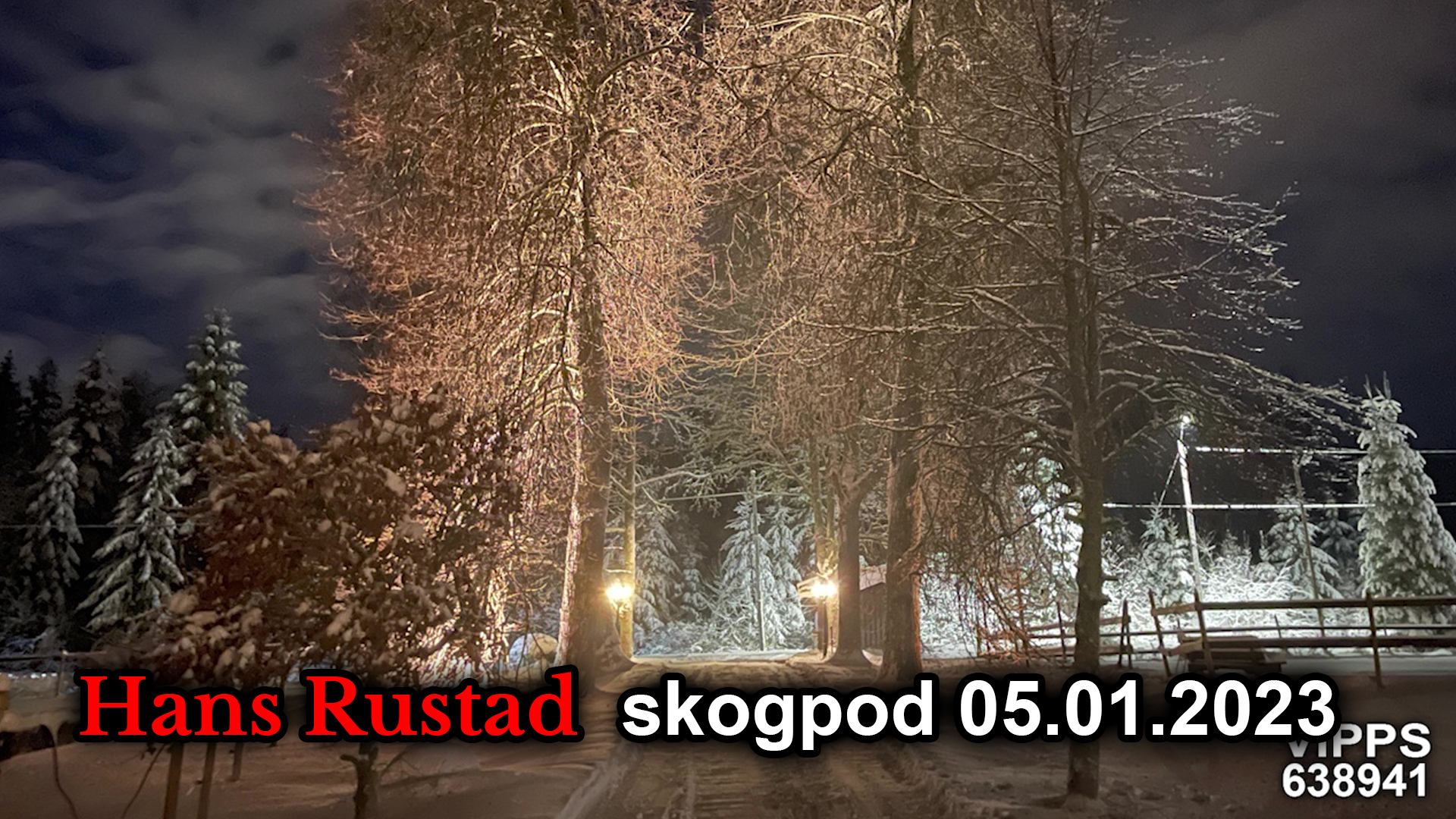 Skogpod 5. januar: Krigeren Jens&nbsp;<span>(+)</span>